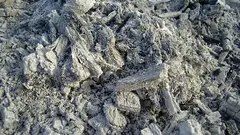 Miksi levitämme tuhkaa puutarhaan väärin: 3 virhettä, joita kasvit eivät pidä – eikä maaperäkään. Ja milloin se ei ole hyödyllistä